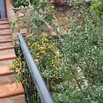 Casa Caramare