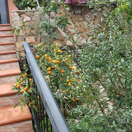 Casa Caramare